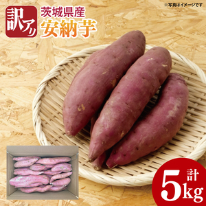 【2025年11月より順次発送】【数量限定】訳アリ 茨城県産安納芋 約5kg｜さつまいも 芋 サツマイモ 安納芋 訳あり わけあり 先行予約 茨城県 取手市（AS004）