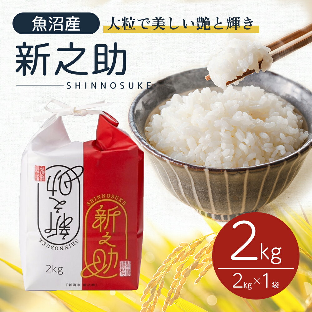 【ふるさと納税】令和6年産 魚沼産 新之助 2kg お米 米 コメ 　お届け：寄附確認後、10月下旬から発送いたします。