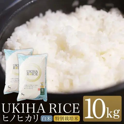 米 白米 精米 UKIHA RICE ヒノヒカリ 令和7年産 10kg 株式会社みずほファーム