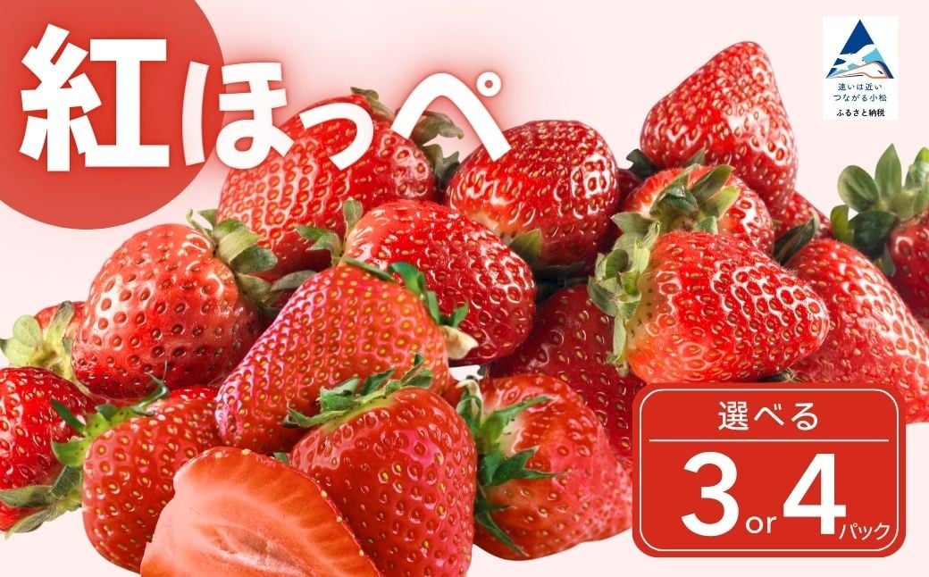 
                  こまつイチゴ 紅ほっぺ 【 選べる 】3パック（約750g） または 4パック（約1kg）苺 べにほっぺ | 石川県 小松市 JAあぐり
                