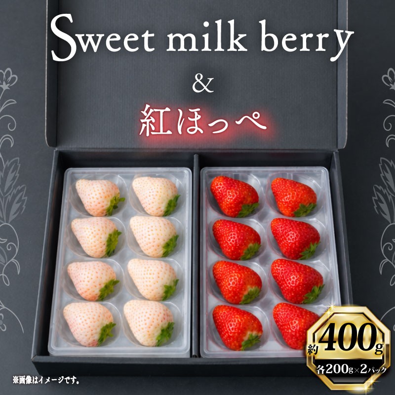 
                  【1月から順次発送開始】いちご 紅ほっぺ 白いちご 計 400g 計 2 パック 高級 紅白 イチゴ 苺 セット Sweet milk berry 各 1 パック 各 200g 予約受付 期間限定 数量限定 苺 イチゴ ベリー フルーツ スイーツ デザート 果物 果汁 ストロベリー 甘い  国産 安心 濃厚 新鮮  贈答用 プレゼント くだもの お歳暮 静岡いちご 静岡苺 静岡県 牧之原市 畠農宝
                