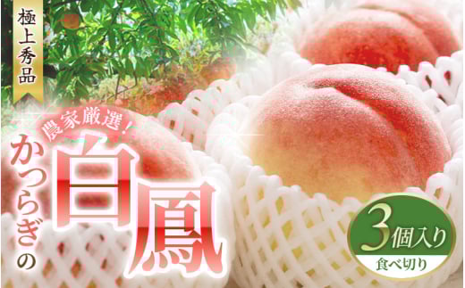 【予約受付】桃の王様 白鳳 <特秀品> うれしい食べきり容量 3玉 2025年6月末頃～2025年7月末頃に順次発送予定（お届け日指定不可）/ 桃 もも 白鳳 フルーツ 果物 くだもの 【kgr010】