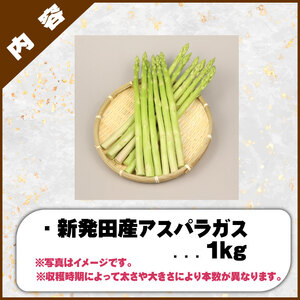 R8年産先行予約 アスパラガス 1kg 約40本 アスパラ 野菜 旬 アスパラ アスパラ のぞみファーム アスパラ アスパラ アスパラ アスパラ  nozofarm001_01