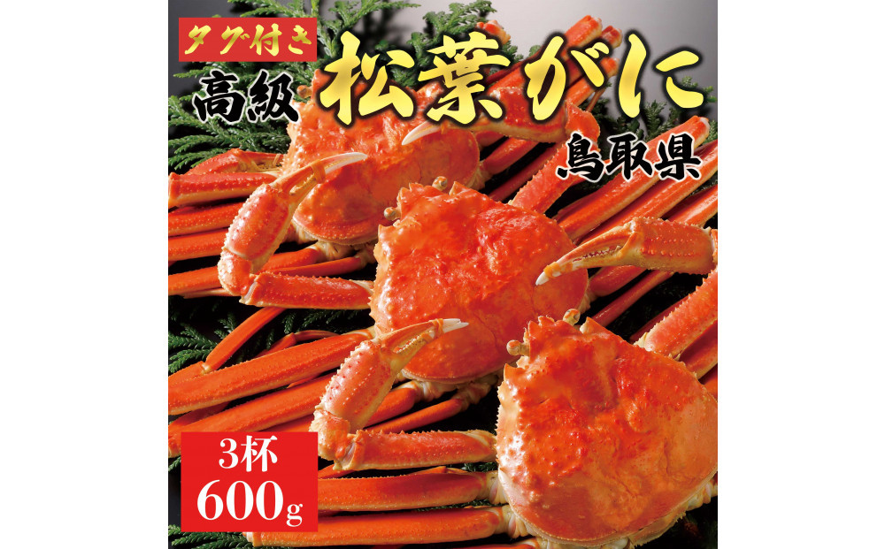 【2026年11月発送】特撰 松葉がに（茹）【ブランドタグ付き】600g超のサイズ  3杯