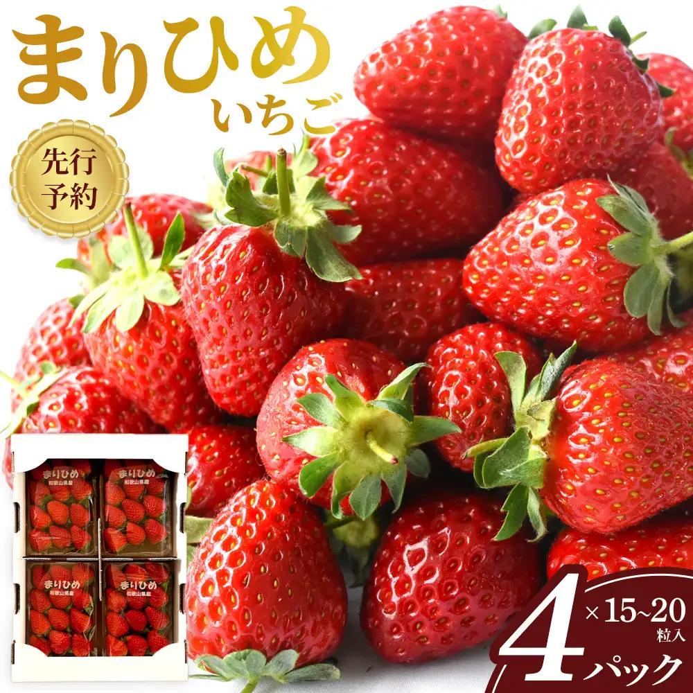 先行予約 まりひめいちご 15～20粒入×4パック 食べやすいひと口サイズ こだわり 農家厳選 ［KG32］