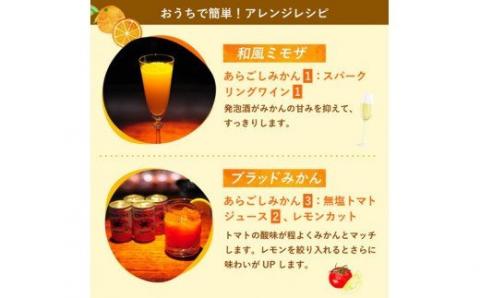 梅乃宿 あらごしみかん １８００ｍｌ ／ 果肉 たっぷり つぶつぶ みかん 人気 おいしい