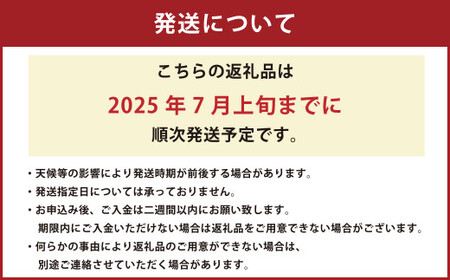 熊本市産 大玉スイカ 1玉 （3L以上・約8kg） 【2025年7月上旬迄発送予定】 大玉西瓜 大玉すいか 西瓜 すいか スイカ 果物 果実 フルーツ 大玉 九州 熊本県 熊本市 常温