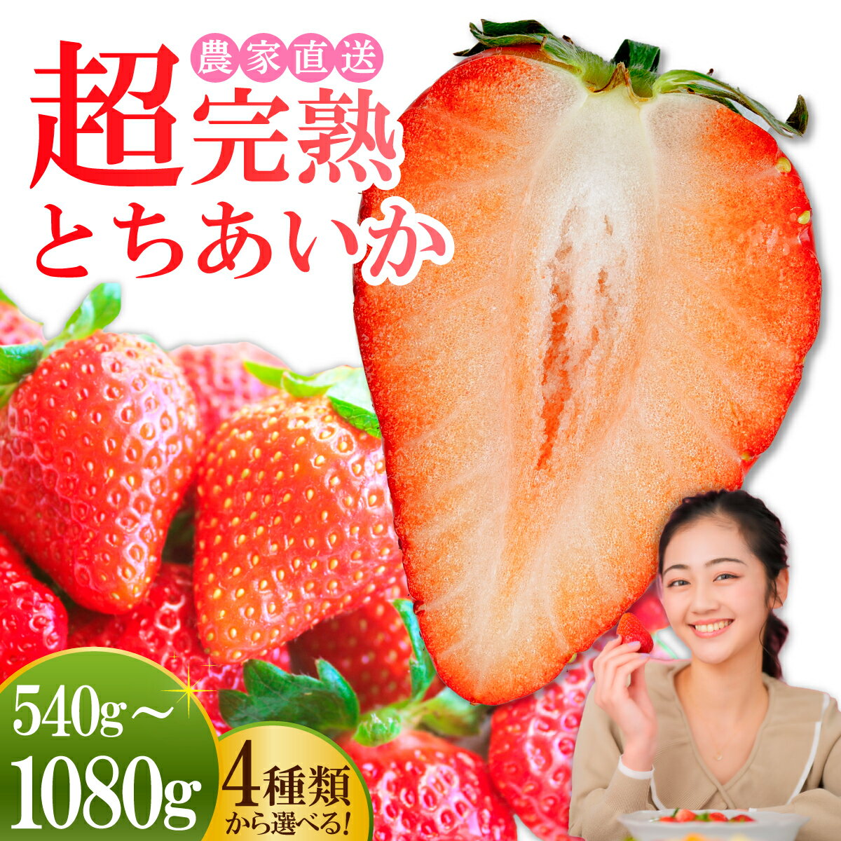 【ふるさと納税】＜2026年先行予約＞いちご 小島さんちの完熟 とちあいか540g 1080g 選べる発送月＆内容量 | いちご イチゴ 苺 とちあいか 完熟 大粒 果物 フルーツ くだもの 旬 産地直送 栃木県産 小島いちご園 栃木県 茂木町