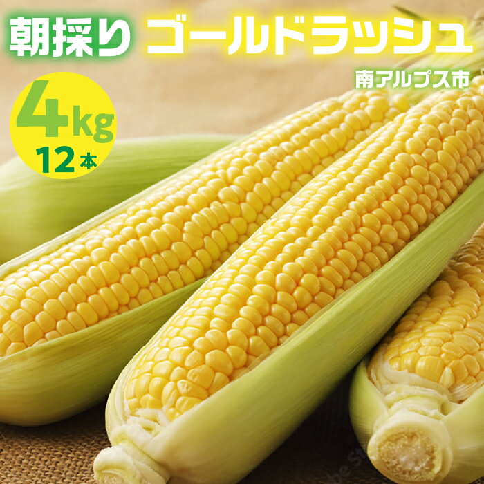 【ふるさと納税】 ＜2026年発送先行予約＞山梨県産 とうもろこし（ゴールドラッシュ） | ふるさと納税 トウモロコシ　おすすめ 山梨県 南アルプス市 送料無料 ALPES001