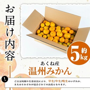 ＜先行予約受付中！2025年11月以降順次発送予定＞数量限定！竹ん子山のみかん(約5kg) 国産 鹿児島県産 阿久根産 ミカン 蜜柑 みかん 柑橘 果物 フルーツ 温州みかん 果実 期間限定 【竹ん子