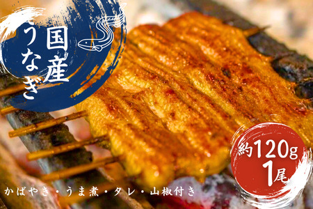 加須の名店うなぎ荒川の『国産うなぎ蒲焼 1尾』 秘伝たれ・紀州備長炭使用　【うなぎ】ギフト プレゼント お中元 お歳暮 夏ギフト 冬ギフト 土用の丑の日 土用丑 丑の日  鰻  グルメ 食品 食べ物 埼玉県 加須市 加須 お取り寄せ 送料無料 送料込み 返礼品 故郷 納税 うなぎ 鰻