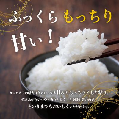 ふるさと納税 土庄町 ふっくらつやつや!小豆島産コシヒカリ5kg |  | 03