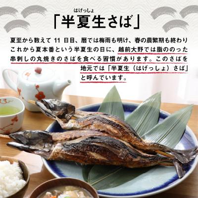 ふるさと納税 大野市 名水の里越前大野の「半夏生さば」1本×2箱 |  | 01