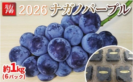 
            【先行予約】A 2026 P ナガノパープル粒どり6パック 約1kg弱 (2026年9月下旬頃～順次発送予定）長野県産  国際特許有機肥料栽培｜ 果物 フルーツ ぶどう ブドウ  食べきりサイズ 人気 おすすめ 葡萄  ギフト 送料無料 長野県 大町市
          