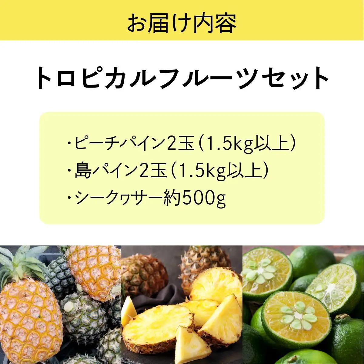 【2027年先行予約】トロピカルフルーツ セット パイン シークワーサー 