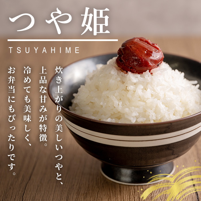 ≪令和7年産 新米≫ 登米市産 ひとめぼれ & つや姫 食べ比べ 10kg (各5kg) 冷蔵米 お米 おこめ 米 コメ 白米 ご飯 ごはん おにぎり お弁当 佐沼交通株式会社【楽らく館】tm475