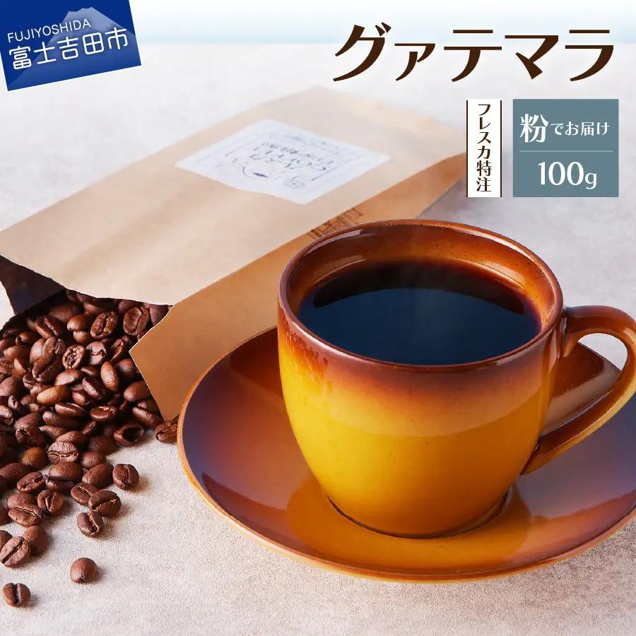 【メール便発送】フレスカ特注 グァテマラ（粉100g） コーヒー 粉 珈琲 自家焙煎 セット フレスカ コーヒー 珈琲