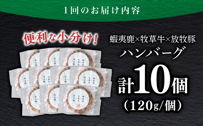 【全6回定期便】【蝦夷鹿×牧草牛×放牧豚】ハンバーグ 10個《厚真町》【GOODGOOD株式会社】 ハンバーグ 鹿肉 牛肉 豚肉 小分け 冷凍配送 ギフト ご褒美 北海道 [AXBP032]