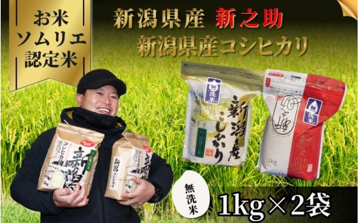 【先行予約】令和8年産【お米ソムリエのお米】食べ比べ無洗米セット 2kg（コシヒカリ1kg、新之助1kg）新潟県 五泉市 エバーグリーン農場