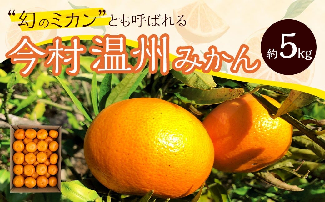 
            今村温州みかん 計約5kg 長崎市 ／ 松上果樹園 みかん 温州みかん フルーツ 果物 くだもの ミカン 蜜柑 長崎 【2026年2月上旬～3月下旬発送予定】
          