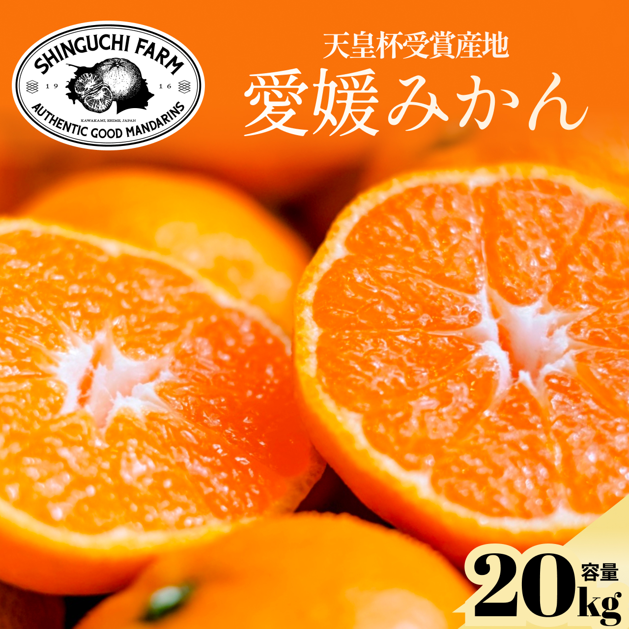 【太陽の旨みがギュッと凝縮】愛媛みかん20kg 農家直送 愛媛県川上産【H70-33】【1536301】 YWTK033