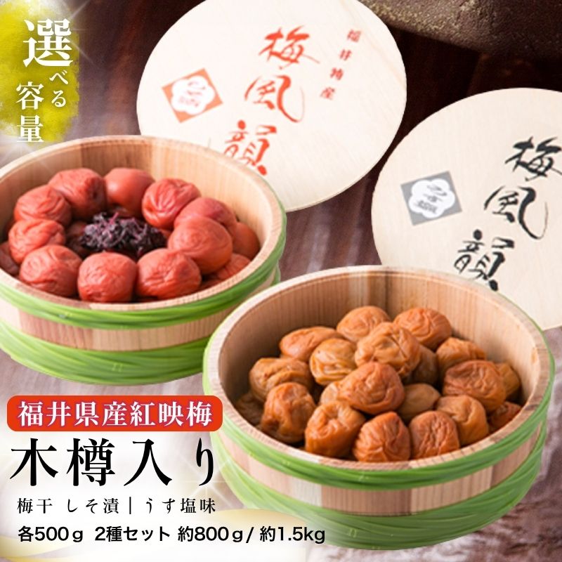 【ふるさと納税】梅風韻しそ 選べる容量 うすしお/しそ漬 食べ比べ [高島屋選定品］ 梅干し