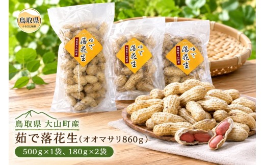大山町産 茹で落花生（オオマサリ860ｇ）