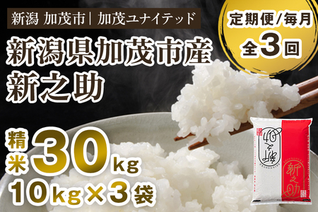 【令和7年産】【3ヶ月定期便】新潟県産 新之助 精米30kg （10kg×3袋）《令和7年産：順次出荷・令和8年産新米：2026年10月から出荷》 加茂ユナイテッド