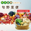 【ふるさと納税】【到着日指定可!!】野菜王国なめがたの旬野菜便（米入り）｜CU-135