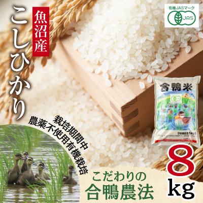 ふるさと納税 十日町市 【精米】魚沼産 コシヒカリ 8kg 栽培期間中農薬不使用 あいがも農法 有機栽培米 新潟県十日町市