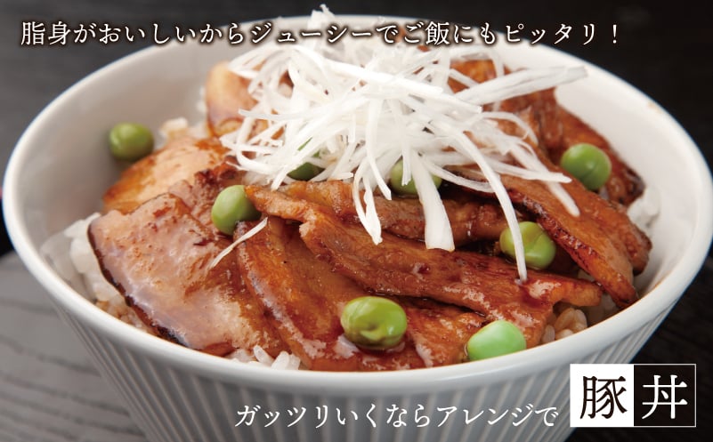 【期間限定】犬鳴豚 生姜焼き用 ローススライス 約270g×3P＋手作りプレミアムハンバーグ（2個入り）【国産 豚肉 小分け 生姜焼き におすすめ 泉佐野ブランド豚 犬鳴ポーク】 010B1425-1