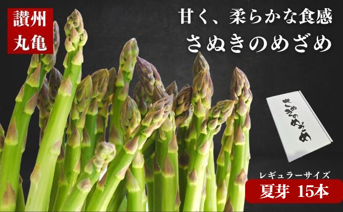 
            さぬきのめざめ（夏芽）1.5kg アスパラガス  アスパラ あすぱら あすぱらがす 野菜 
          