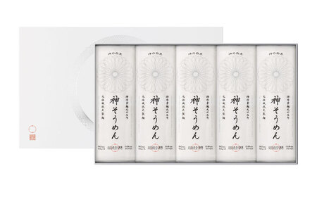 神の白糸 神そうめん 10袋入り / 佐賀県 / 有限会社井上製麺 [41AHDC002]