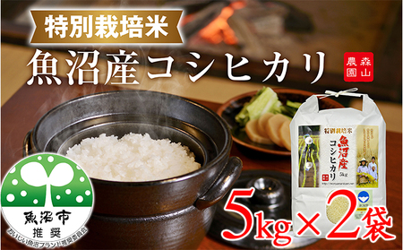令和7年産 森山農園 特別栽培米 魚沼産コシヒカリ（新潟県認証）10kg（5kg×2） お米 