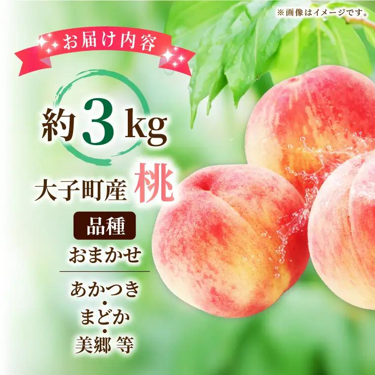【先行予約・数量限定】大子町産「桃」約3kg 品種おまかせ（あかつき・まどか・美郷 等）｜茨城県 大子町 令和8年産 もも モモ フルーツ 果物 おまかせ 詰め合わせ 産地直送 旬 人気 厳選 奥久慈