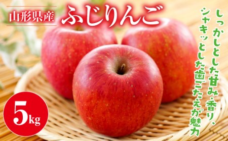 FYN9-385 ≪先行予約≫ご家庭用 2024年 山形県産 サンふじりんご 5kg 2024年11月中旬から順次発送 林檎 りんご リンゴ 秋果実 果物 くだもの フルーツ 自宅用 産地直送 期間限定 山形県 西川町 月山