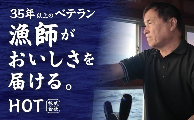 G2184t 【お中元対応】ちりめん山椒しらす 600g【小分け 150g×4P シラス しらす sirasu 海鮮 人気 おすすめ 産地直送】