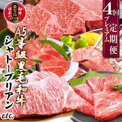 ふるさと納税 枕崎市 定期便(4回配送)A5等級黒毛和牛シャトーブリアン・サーロインステーキetc GG-0030
