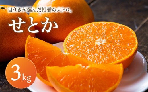 せとか 家庭用 3kg 【2027年2月中旬頃から順次発送】 | みかん ミカン mikan 蜜柑 訳ありフルーツ 柑橘 果物 おすすめ 高級 お勧め 愛媛三大高級柑橘 ( 紅まどんな せとか 甘平 ) お取り寄せ ギフト 愛媛県 松山市
