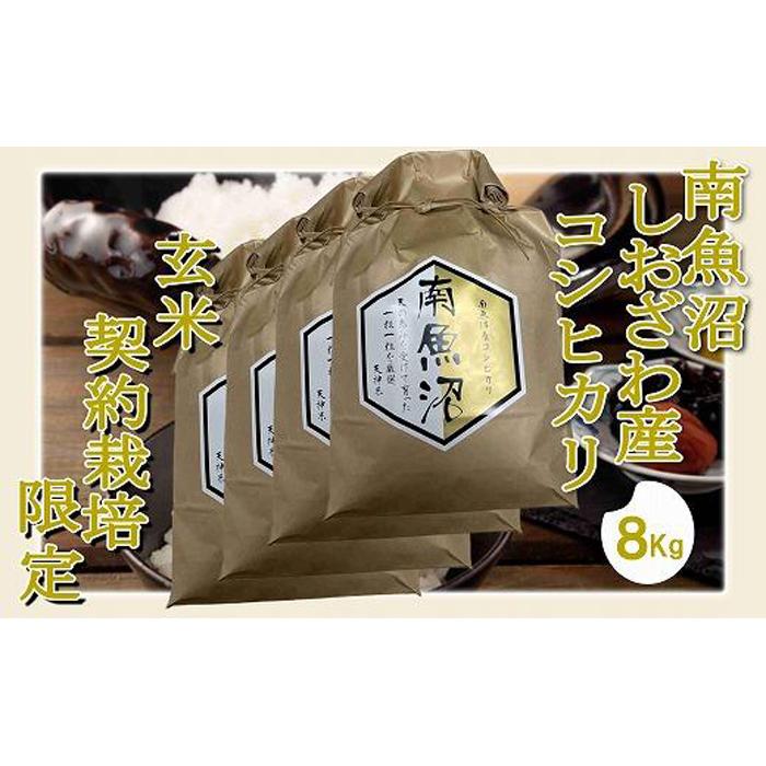 【ふるさと納税】【令和7年産】【玄米8Kg】●玄米● 生産者限定 南魚沼しおざわ産コシヒカリ【2025年10月上旬より順次発送予定】 | お米 こめ 食品 コシヒカリ 人気 おすすめ 送料無料 魚沼 南魚沼 南魚沼市 新潟県 玄米 産直 産地直送 お取り寄せ