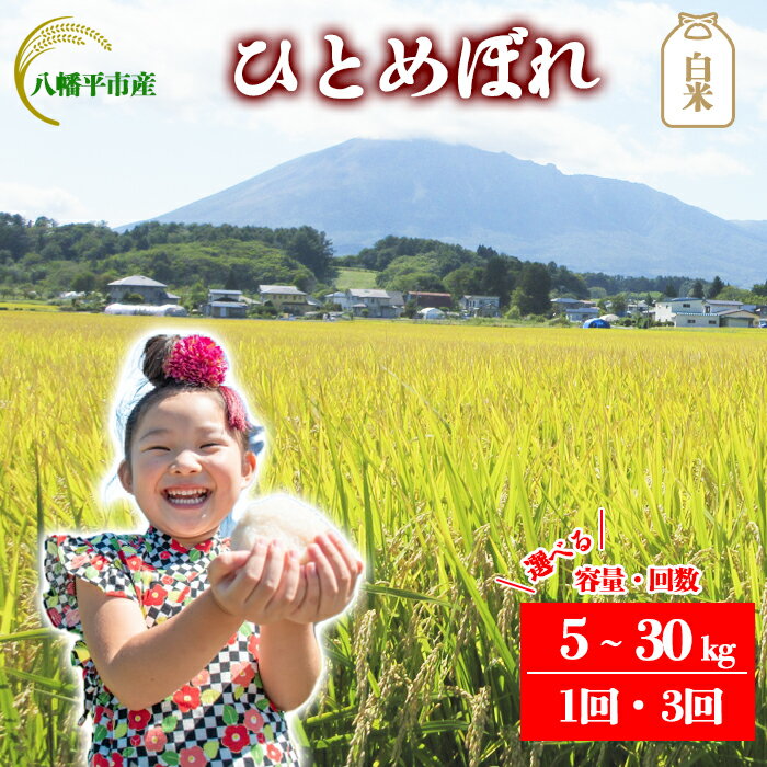 【ふるさと納税】 【令和7年産】【先行予約】 2025年産 岩手県産米 こめ お米 精米 選べる 発送回数 1回 3回 容量 5kg 10kg 30kg ひとめぼれ ／ 白米 白飯 ご飯 ごはん おこめ ライス 単発便 定期便 おにぎり おすすめ 国産米 東北 岩手県 八幡平市 送料無料 かきのうえ