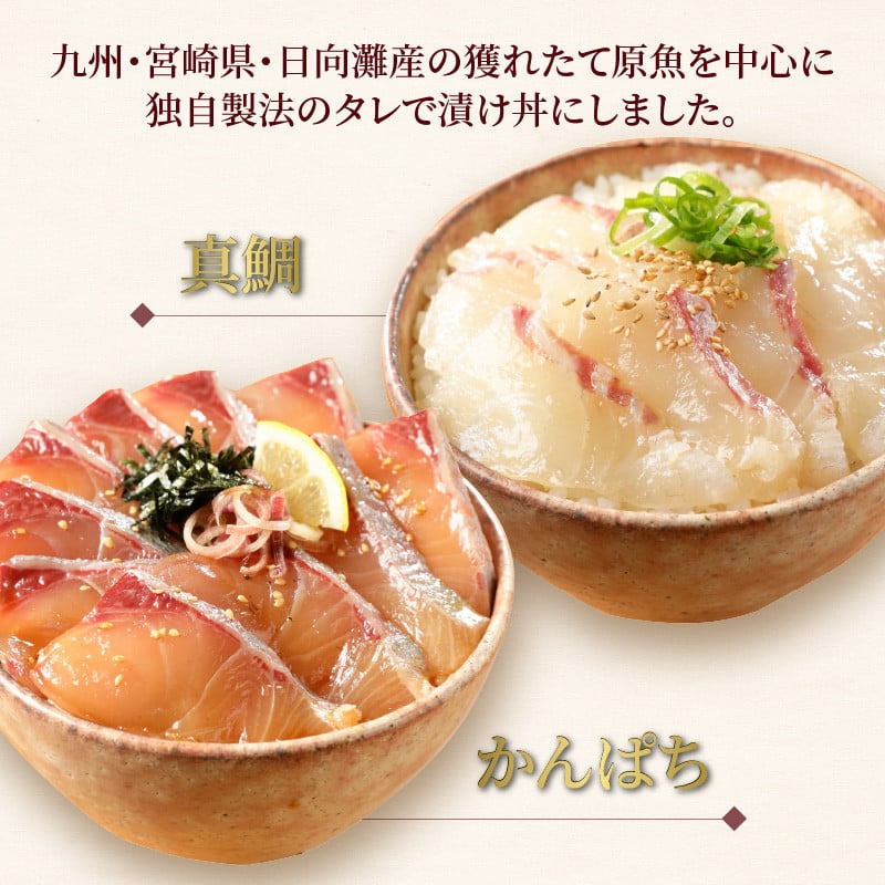 【冷凍】活〆日向灘真鯛とかんぱちの漬け丼2種食べ比べセット100g×8袋 N019-YB436