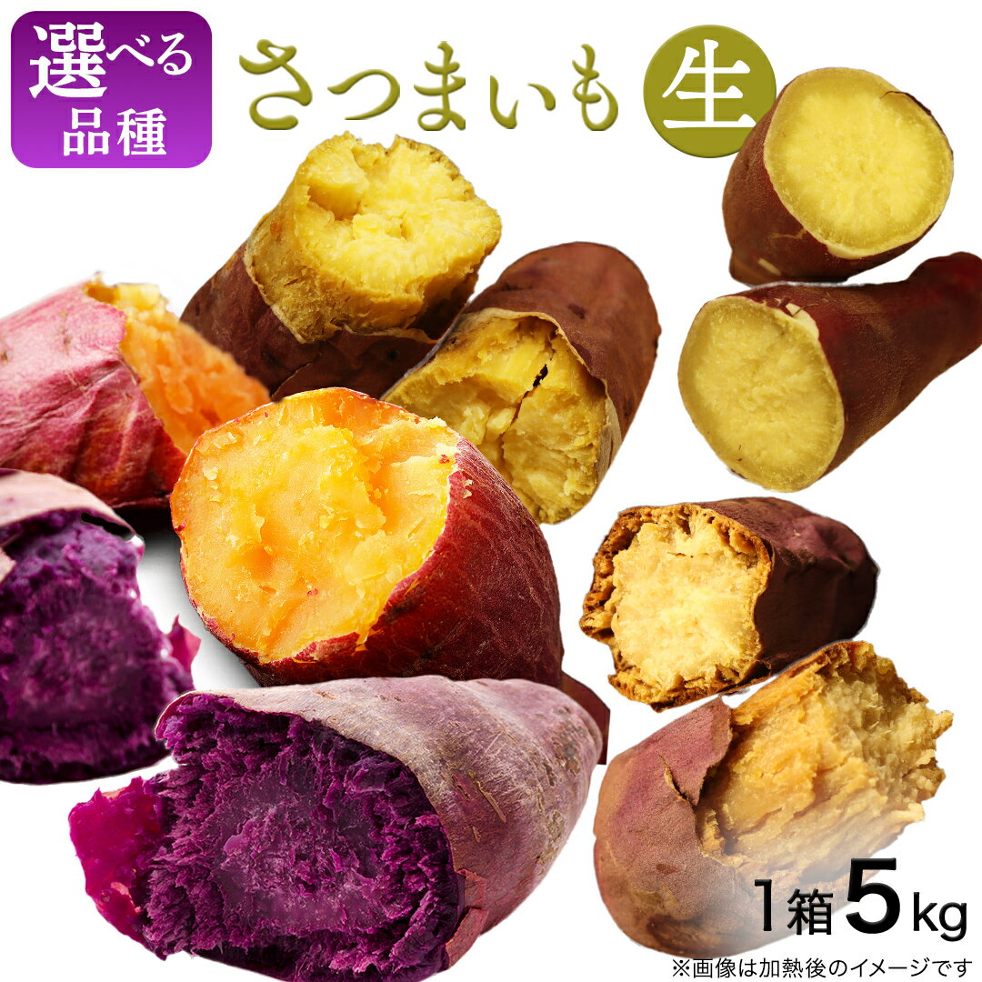 【ふるさと納税】さつまいも 【 選べる品種 】 5kg / 10kg ( 箱込 ) サツマイモ さつま芋 芋 いも 野菜 焼き芋 スイーツ おやつ 国産 シルクスイート 紅はるか 紅あずま ふくむらさき ほしあかね