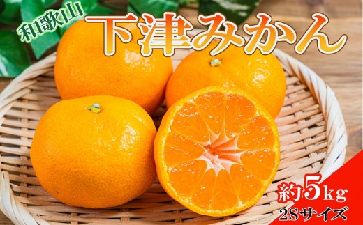 ［産直・秀品］和歌山下津みかん約5kg（2Sサイズ）★2026年11月中旬頃より順次発送［TM72］