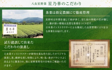Z26-10 八女星野 深蒸し茶(3本詰め)   緑茶