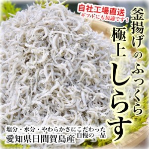 しらす 500g 冷凍 国産 愛知県 南知多町 魚 釜揚げ しらす さかな ご飯 ごはん 日間賀島 おすすめ ※離島配送不可  ( しらす しらす しらす しらす しらす しらす しらす しらす しらす しらす しらす しらす しらす しらす しらす しらす しらす しらす しらす しらす しらす しらす しらす しらす しらす しらす しらす しらす しらす しらす しらす しらす しらす しらす )