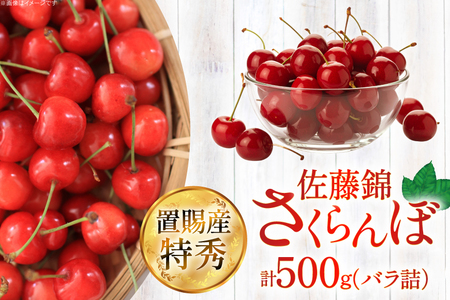 【期間限定発送】 さくらんぼ 置賜産 佐藤錦 特秀 L～3L 500g [JA山形おきたま 山形県 高畠町 tk06ays870050]