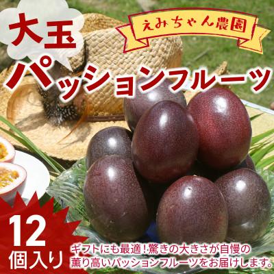ふるさと納税 知名町 【2026年先行予約】えみちゃん農園 大玉パッションフルーツ(12個入り)