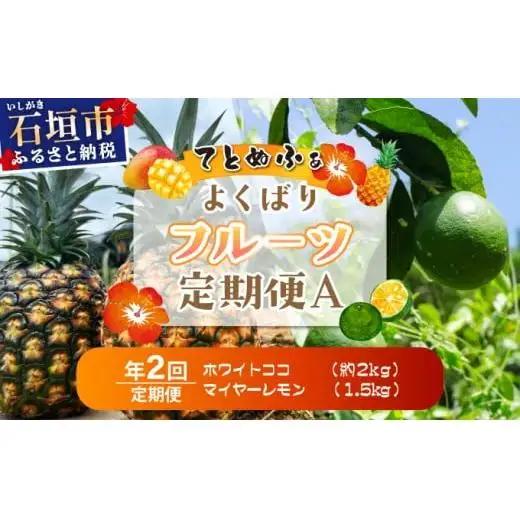 《年2回発送》島のおいしいを贅沢に！某TV番組で紹介された希少なホワイトココと青切りマイヤーレモンのよくばり定期便！
