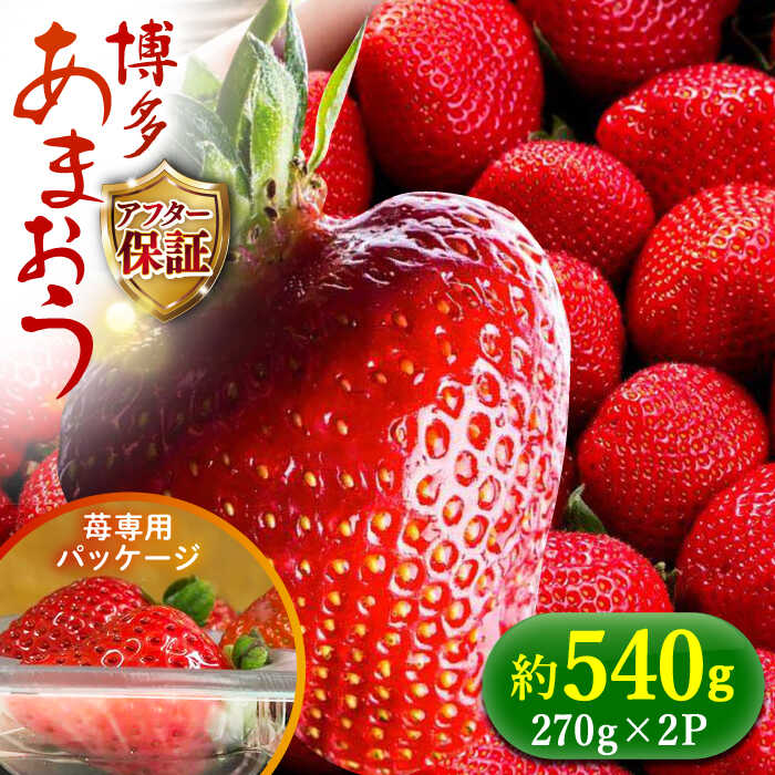 【ふるさと納税】【予約受付】【1月上旬より順次発送】農家直送 朝採り新鮮いちご【博多あまおう】約270g×2パック《築上町》【株式会社H&Futures】 [ABDG001] 11000円